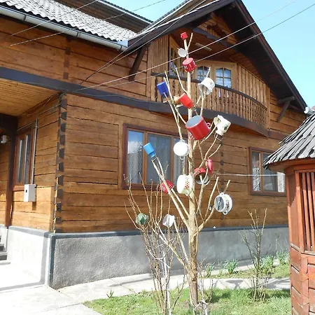 Pensiunea Ileana Teleptean Guest house