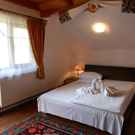 Guest house Pensiunea Ileana Teleptean Vadu Izei