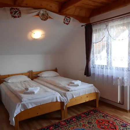 Guest house Pensiunea Ileana Teleptean