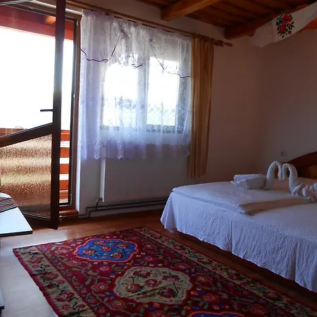 Guest house Pensiunea Ileana Teleptean Vadu Izei
