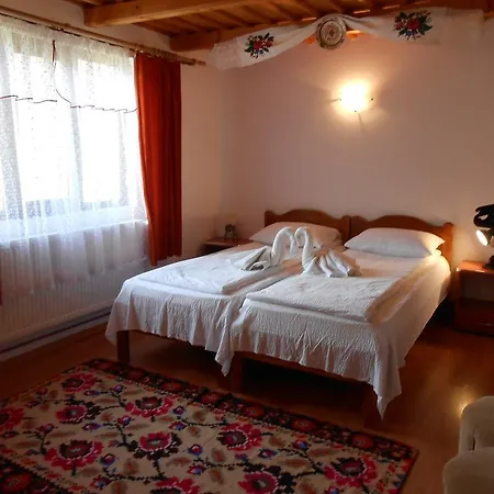 Pensiunea Ileana Teleptean Guest house 3*