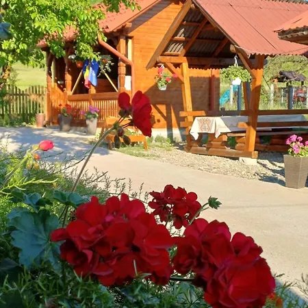 Pensiunea Ileana Teleptean Guest house 3*