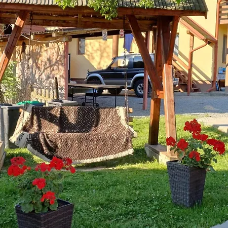 Guest house Pensiunea Ileana Teleptean Vadu Izei