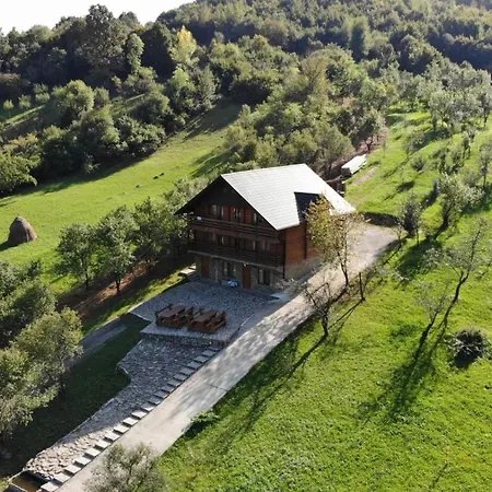 Pensiunea Ileana Teleptean Guest house Vadu Izei