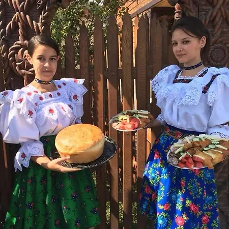 Pensiunea Ileana Teleptean Guest house Vadu Izei