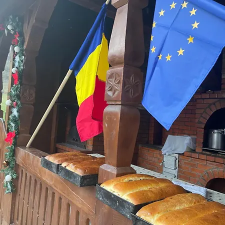 Pensiunea Ileana Teleptean Guest house Vadu Izei