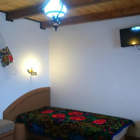 Pensiunea Ileana Teleptean Guest house Vadu Izei