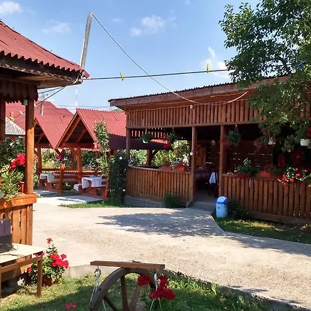 Pensiunea Ileana Teleptean Vadu Izei