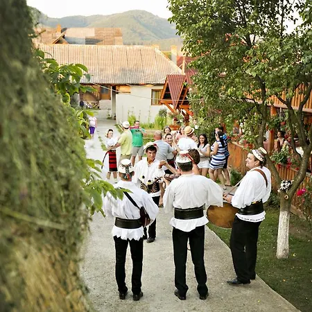 Pensiunea Ileana Teleptean Guest house Vadu Izei