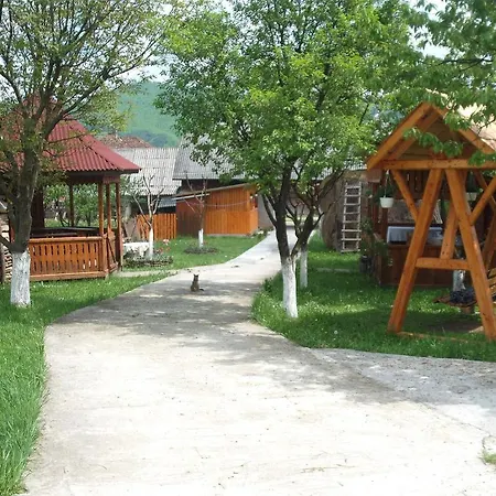 Guest house Pensiunea Ileana Teleptean 3*